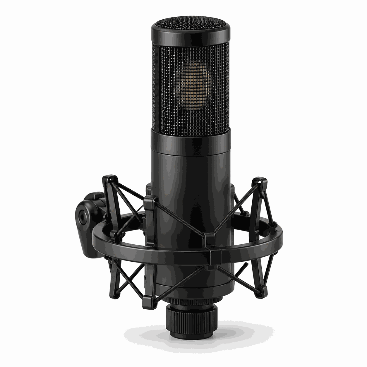 EchoMic Wireless Studio Microphone
